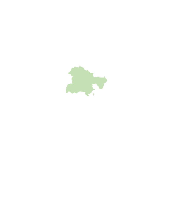 埔里鎮