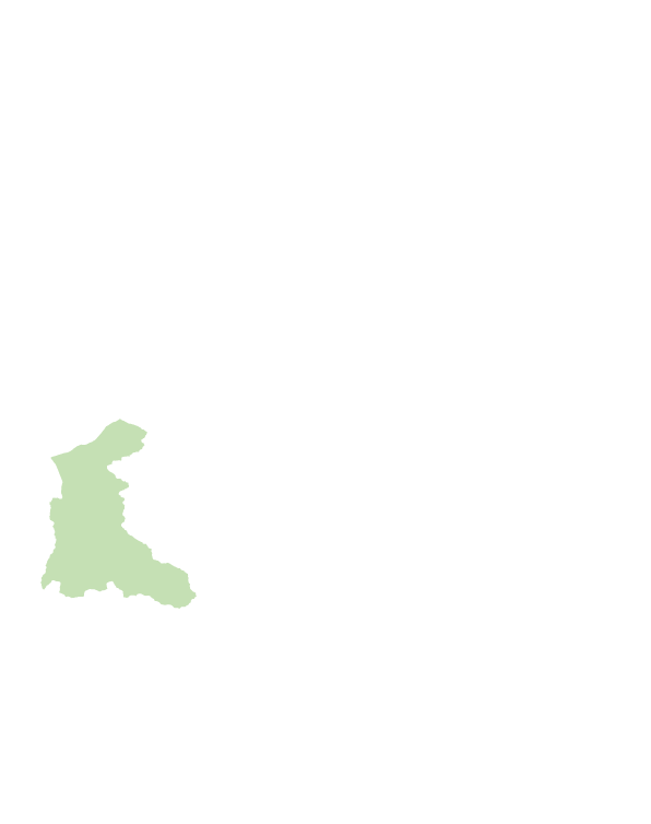 竹山鎮