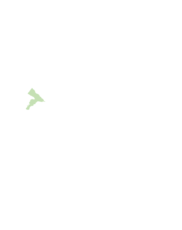 大甲區