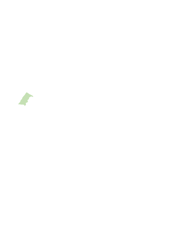 大安區