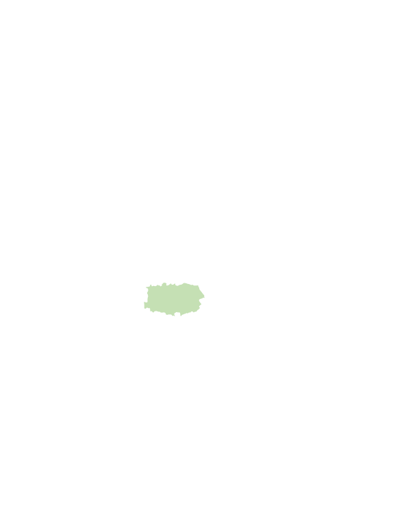 新市區