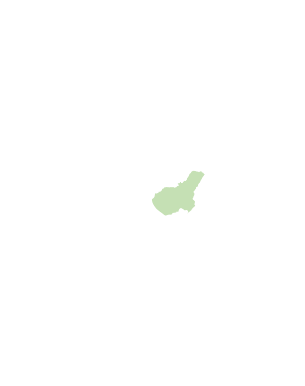 大內區