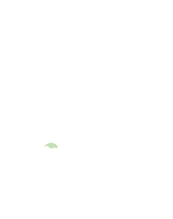 北區
