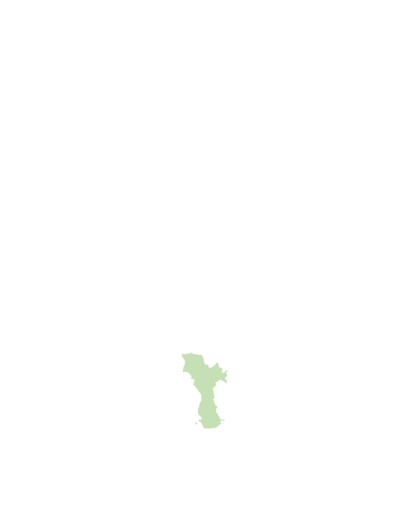 關廟區
