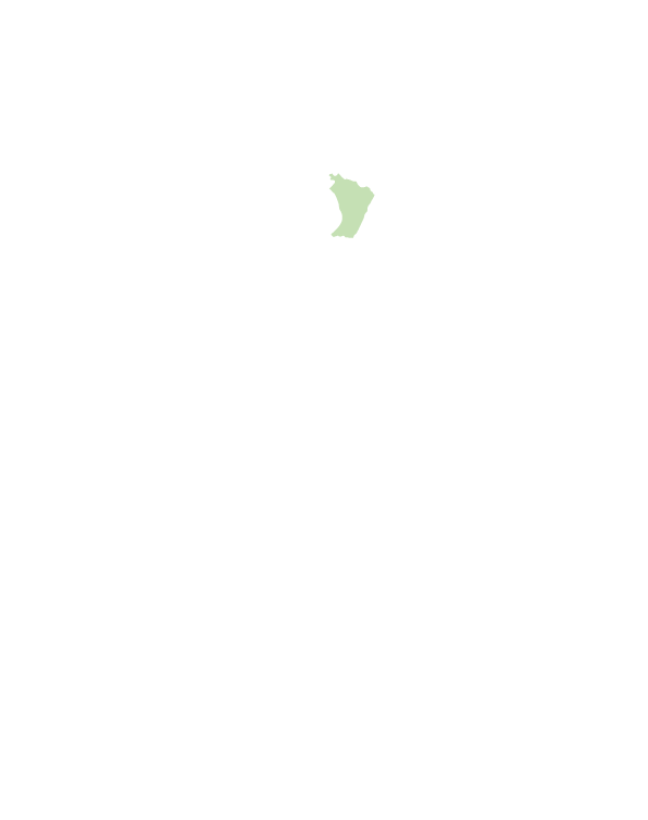 池上鄉