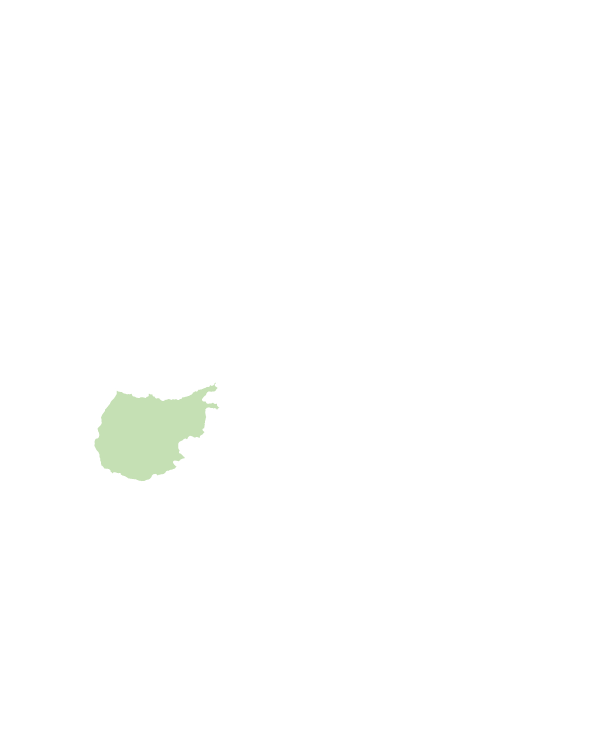 金峰鄉