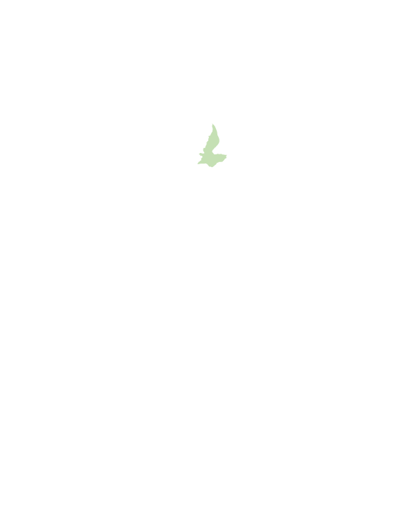 關山鎮