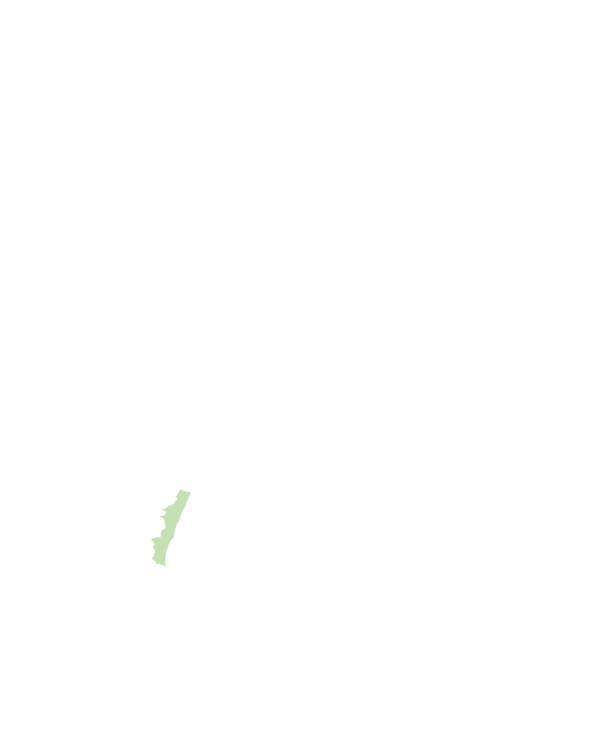 大武鄉