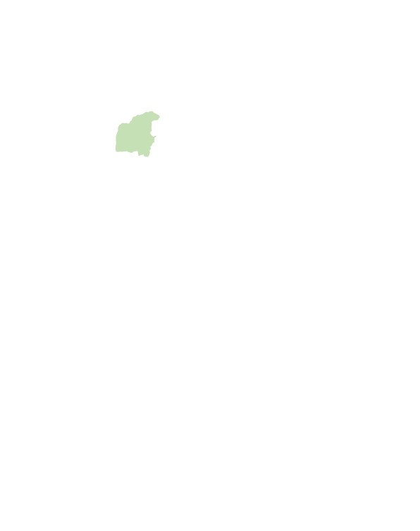 屏東市