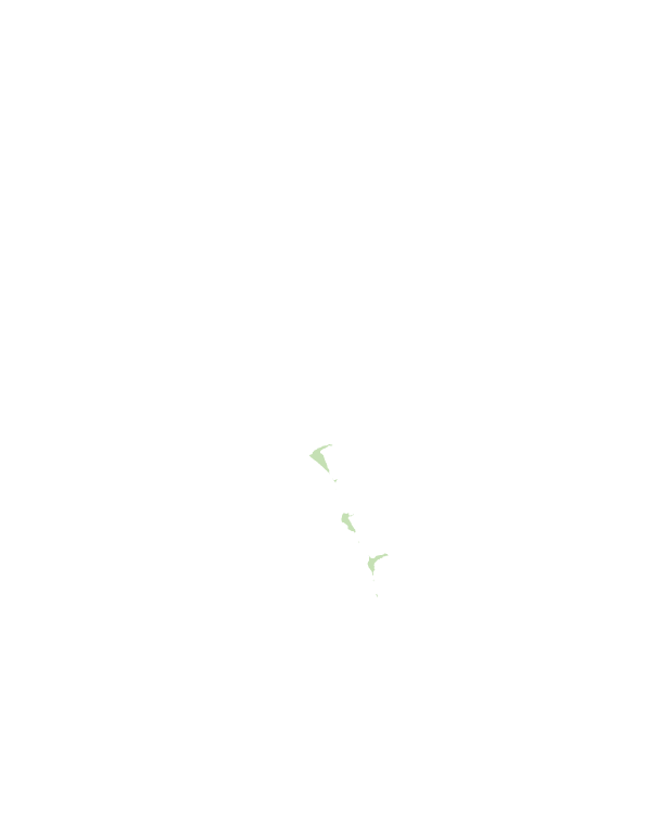 枋山鄉
