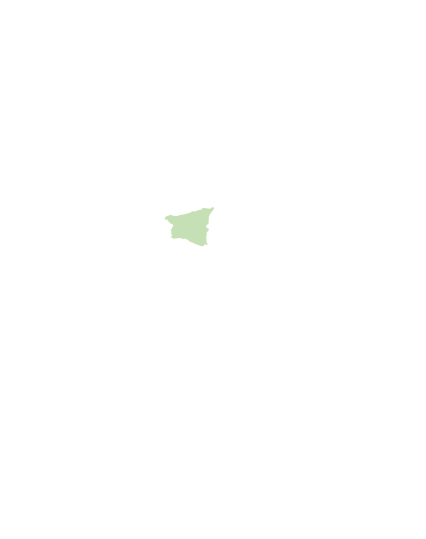 新埤鄉