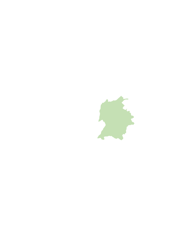 大溪區