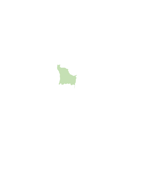 平鎮區