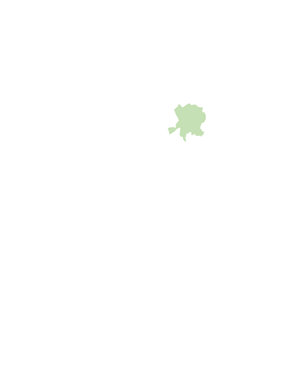 桃園區