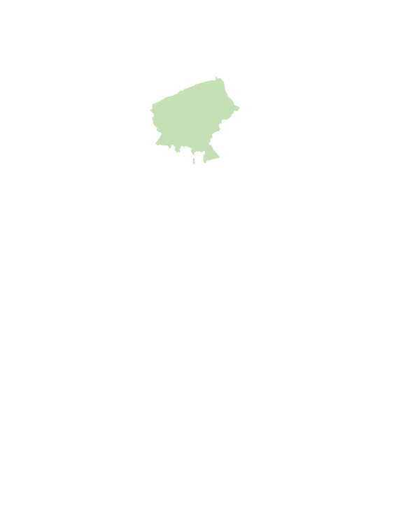 大園區