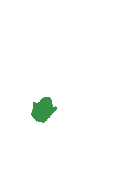 臺南市