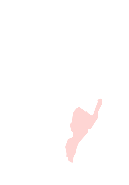臺東縣