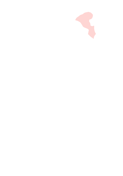 桃園市