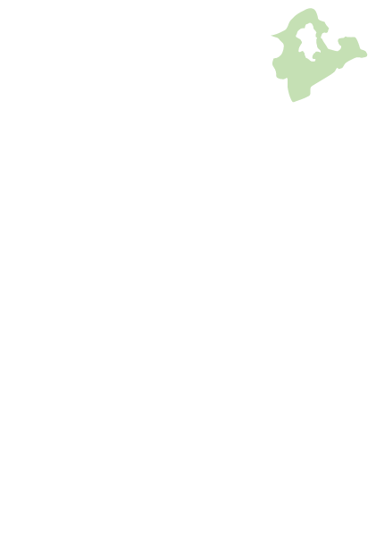 新北市
