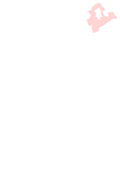 新北市